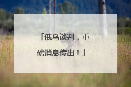俄乌谈判，重磅消息传出！