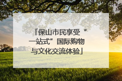 保山市民享受“一站式”国际购物与文化交流体验