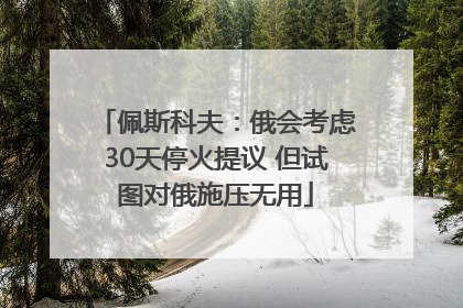 佩斯科夫：俄会考虑30天停火提议 但试图对俄施压无用