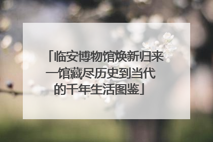 临安博物馆焕新归来 一馆藏尽历史到当代的千年生活图鉴