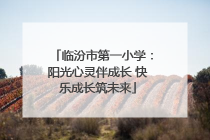 临汾市第一小学：阳光心灵伴成长 快乐成长筑未来