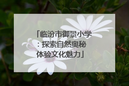 临汾市御景小学：探索自然奥秘 体验文化魅力