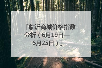 临沂商城价格指数分析（6月19日—6月25日）