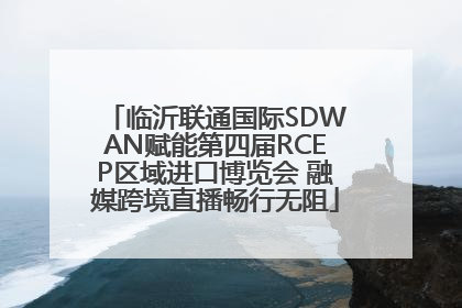 临沂联通国际SDWAN赋能第四届RCEP区域进口博览会 融媒跨境直播畅行无阻