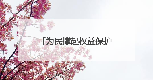 为民撑起权益保护伞 用情铺就和谐发展路——记全国先进工作者、新区项目建设中心干部卢小勇