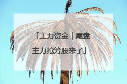 主力资金｜尾盘主力抢筹股来了