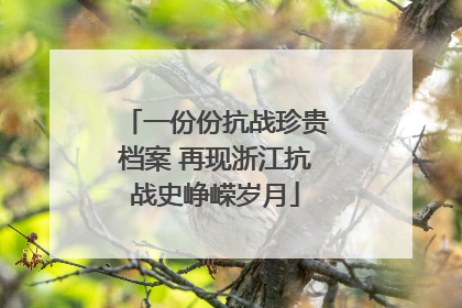 一份份抗战珍贵档案 再现浙江抗战史峥嵘岁月