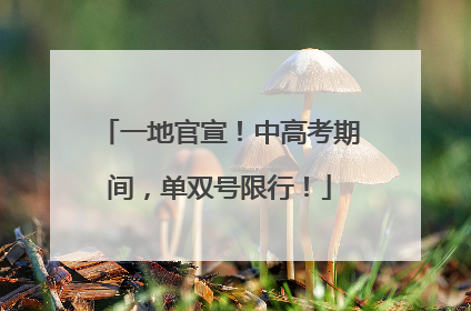 一地官宣！中高考期间，单双号限行！