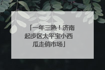 一年三熟！济南起步区太平宝小西瓜走俏市场