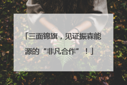 三面锦旗，见证振森能源的“非凡合作”！