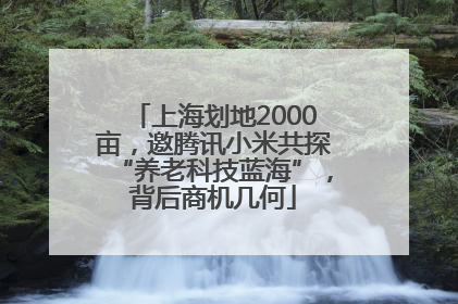上海划地2000亩，邀腾讯小米共探“养老科技蓝海”，背后商机几何