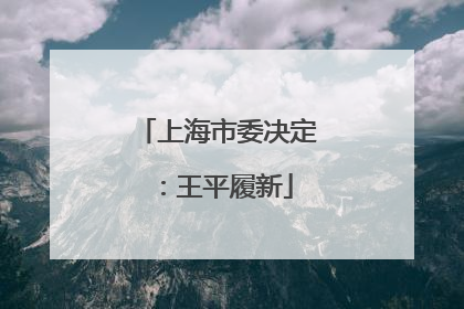上海市委决定：王平履新