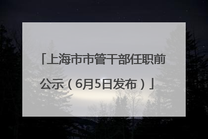 上海市市管干部任职前公示（6月5日发布）