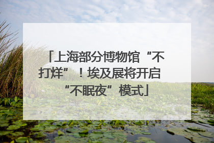 上海部分博物馆“不打烊”！埃及展将开启“不眠夜”模式