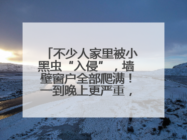 不少人家里被小黑虫“入侵”，墙壁窗户全部爬满！一到晚上更严重，还有一股臭味