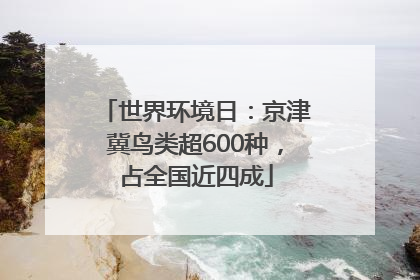 世界环境日：京津冀鸟类超600种，占全国近四成