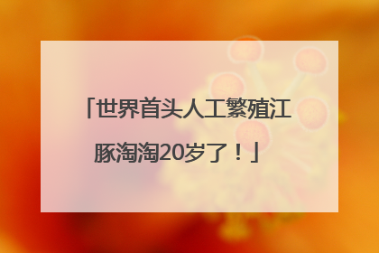 世界首头人工繁殖江豚淘淘20岁了！