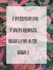 世贸组织电子商务规则高级研讨班来鄂调研