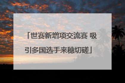 世赛新增项交流赛 吸引多国选手来穗切磋