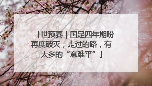 世预赛｜国足四年期盼再度破灭，走过的路，有太多的“意难平”