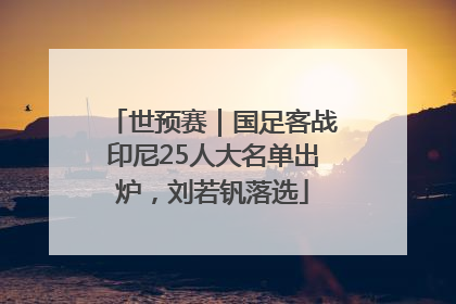 世预赛｜国足客战印尼25人大名单出炉，刘若钒落选