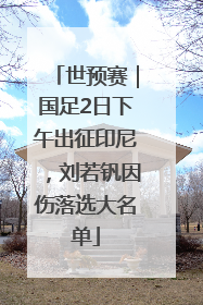 世预赛｜国足2日下午出征印尼，刘若钒因伤落选大名单