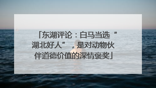 东湖评论：白马当选“湖北好人”，是对动物伙伴道德价值的深情褒奖