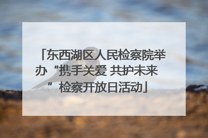 东西湖区人民检察院举办“携手关爱 共护未来”检察开放日活动