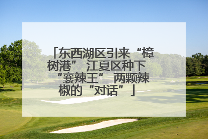 东西湖区引来“樟树港” 江夏区种下“襄辣王” 两颗辣椒的“对话”