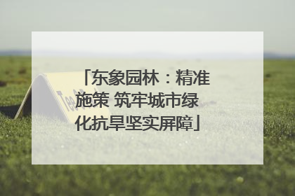 东象园林：精准施策 筑牢城市绿化抗旱坚实屏障