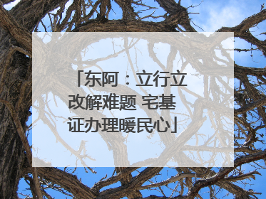 东阿：立行立改解难题 宅基证办理暖民心