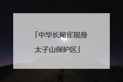 中华长尾雀现身太子山保护区