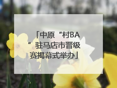 中原“村BA”驻马店市晋级赛揭幕式举办