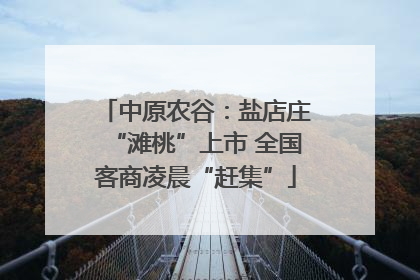 中原农谷：盐店庄“滩桃”上市 全国客商凌晨“赶集”