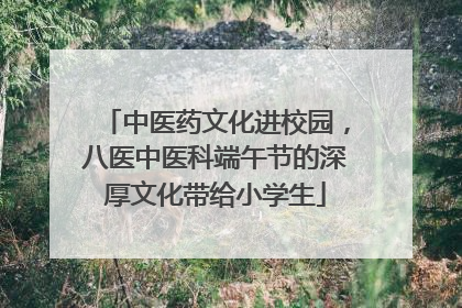 中医药文化进校园，八医中医科端午节的深厚文化带给小学生