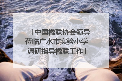 中国楹联协会领导莅临广水市实验小学调研指导楹联工作