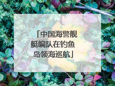 中国海警舰艇编队在钓鱼岛领海巡航