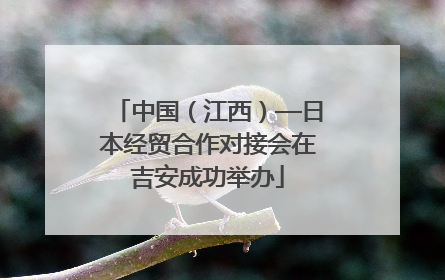 中国（江西）—日本经贸合作对接会在吉安成功举办