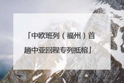 中欧班列（福州）首趟中亚回程专列抵榕