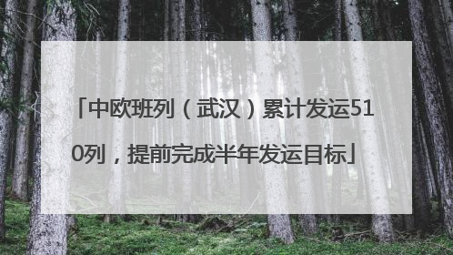 中欧班列（武汉）累计发运510列，提前完成半年发运目标