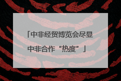 中非经贸博览会尽显中非合作“热度”