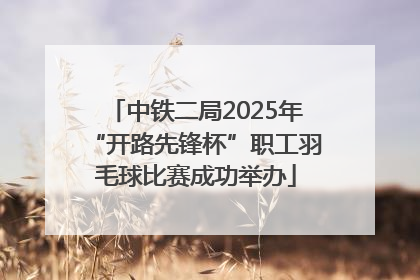 中铁二局2025年“开路先锋杯”职工羽毛球比赛成功举办