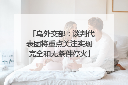 乌外交部：谈判代表团将重点关注实现完全和无条件停火