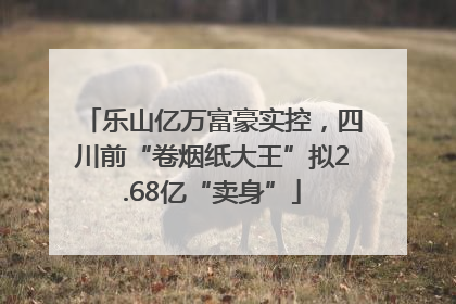 乐山亿万富豪实控，四川前“卷烟纸大王”拟2.68亿“卖身”