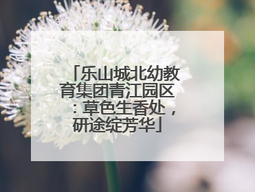 乐山城北幼教育集团青江园区：草色生香处，研途绽芳华