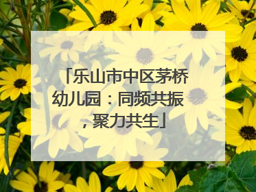 乐山市中区茅桥幼儿园：同频共振，聚力共生