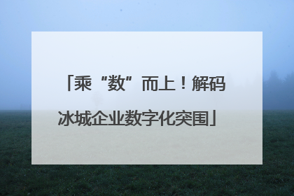 乘“数”而上！解码冰城企业数字化突围