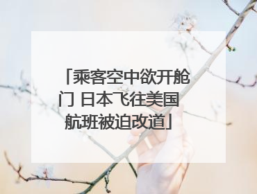 乘客空中欲开舱门 日本飞往美国航班被迫改道