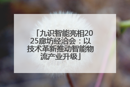 九识智能亮相2025廊坊经洽会：以技术革新推动智能物流产业升级