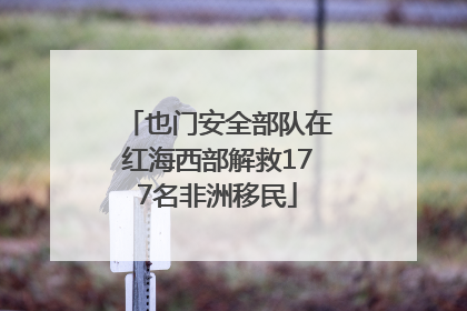 也门安全部队在红海西部解救177名非洲移民